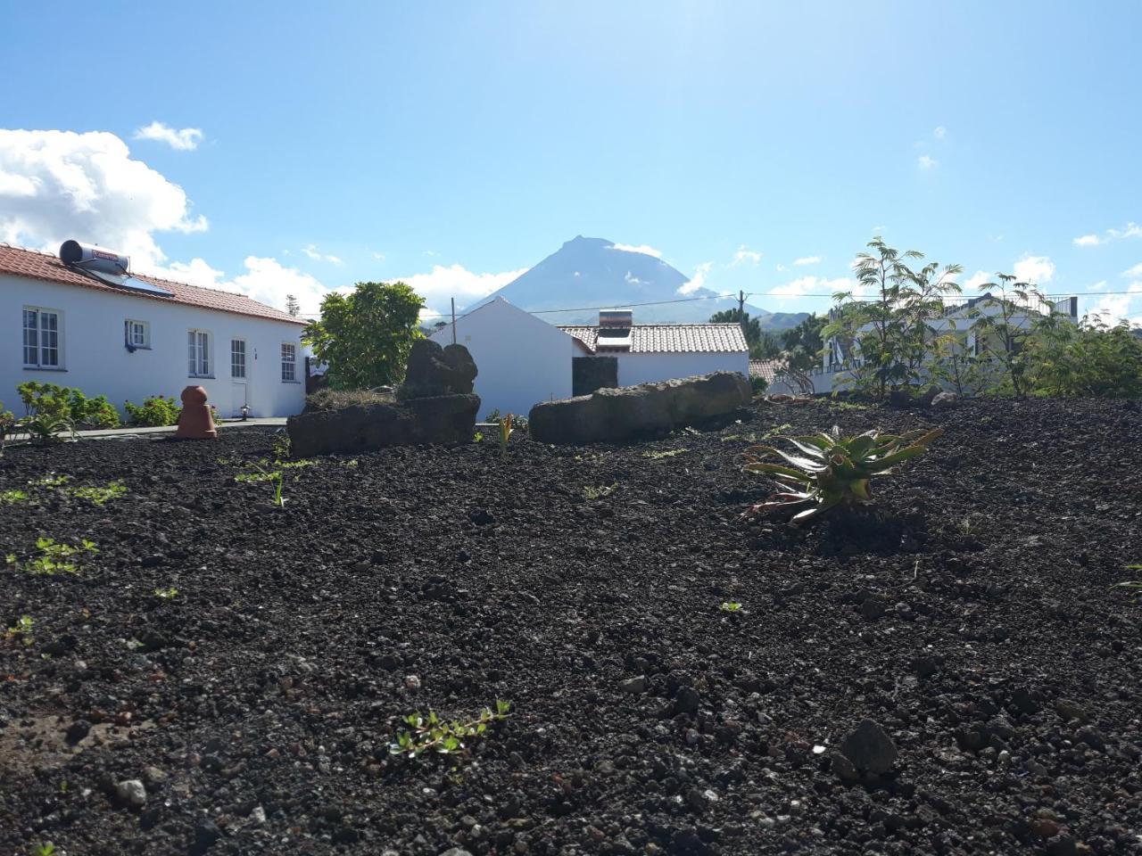 Casas Do Verdelho マダレナ エクステリア 写真